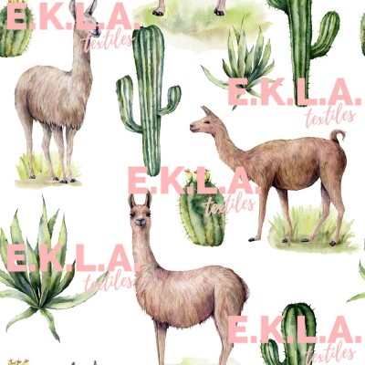 Pul  lamas et cactus